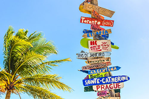 trip-vaca