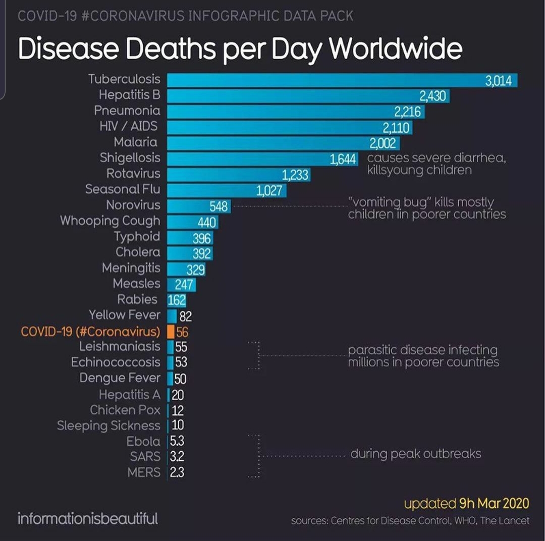 Joe Ross shares a disease deaths per day worldwide chart